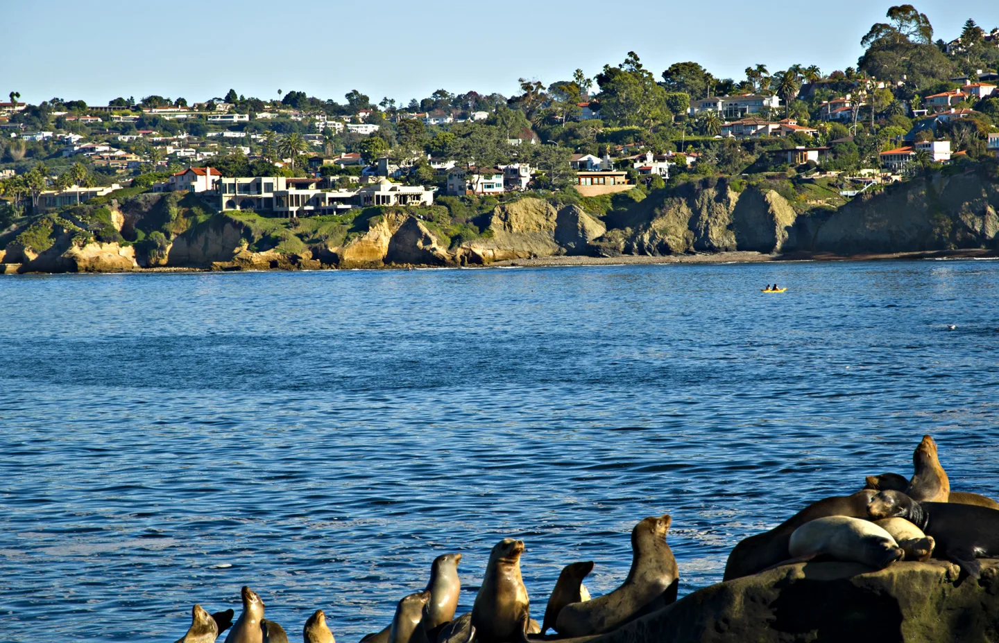 A view of San Diego, California