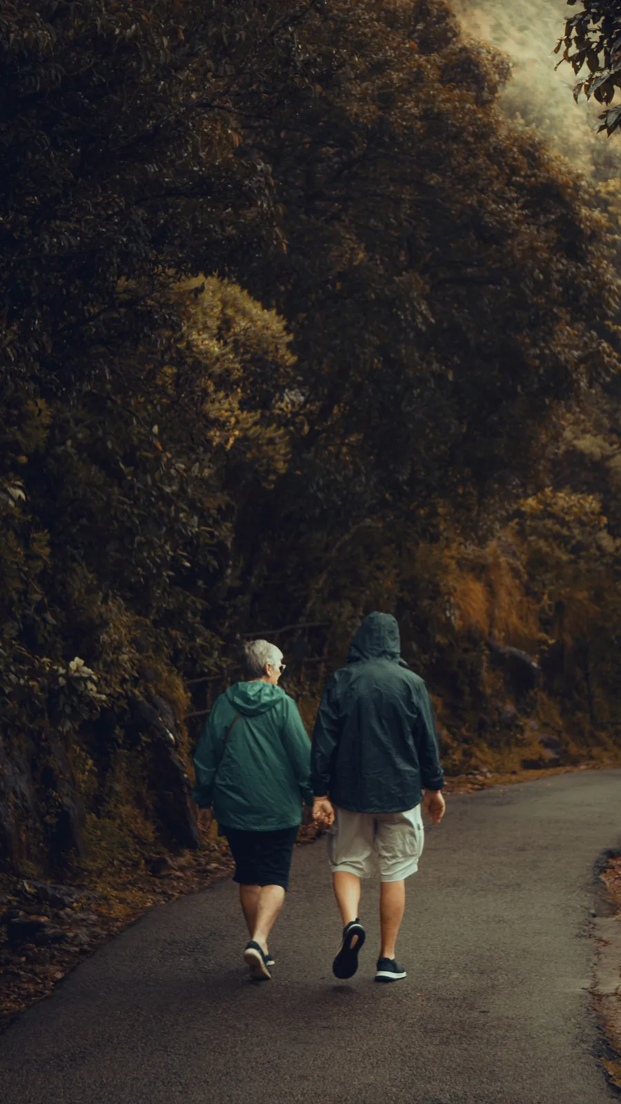 A senior couple enjoys a nature walk on a serene forest path holding hands.